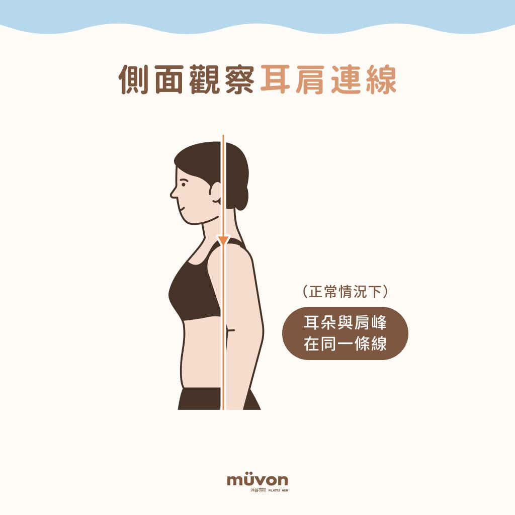 側面觀察耳肩連線