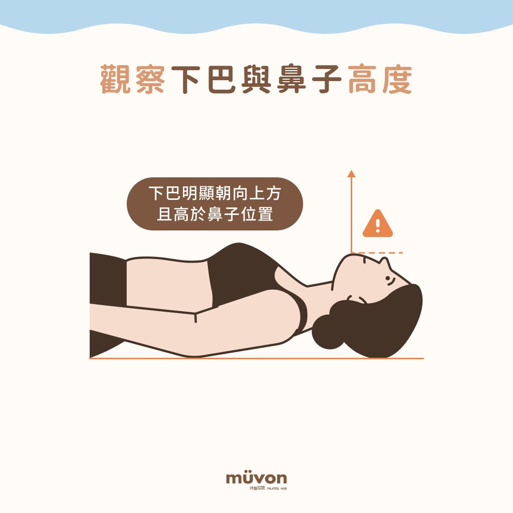 觀察下巴與鼻子高度